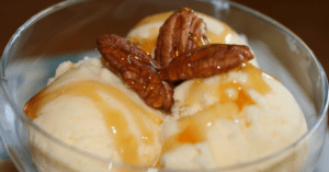 Ninja Creami Protein Ice Cream Recipe